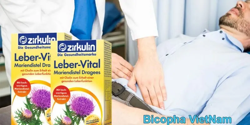 Bổ gan Zirkulin Leber Vital cho người bệnh men gan cao