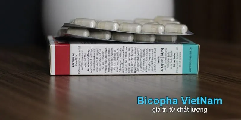 Viên bổ Bổ sung sắt cho bà bầu Fem Aktiv - Thuốc sắt cho bà bầu của Đức