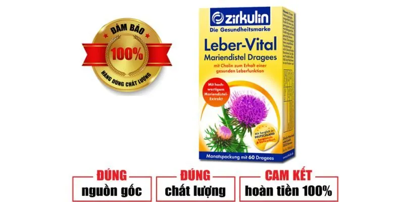 Cây kế sữa có tác dung gì - Bổ gan zirkulin leber vaitl chính hãng
