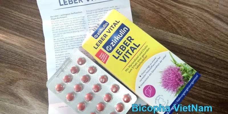 Cây Kế Sữa Mua Ở Đâu? Viên bổ gan Zirkulin Leber Vital chính hãng từ nhà phân phối Bicopha