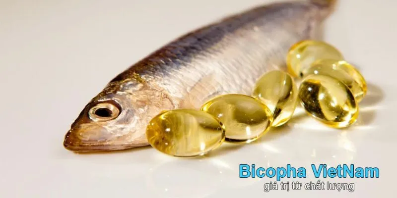 Dầu cá Omega 3 tốt nhất thị trường Việt Nam được chiết xuất 100% từ cá Hồi đại dương sạch