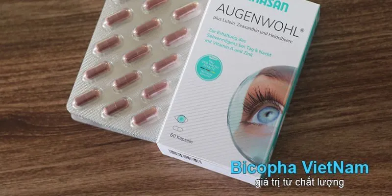 Hướng dẫn cách nhập sỉ Bakansan Gehirn Stoffwechsel tại BICOPHA