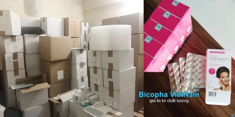 Nguồn nhập sỉ Bakanasan Zink Plus chính hãng