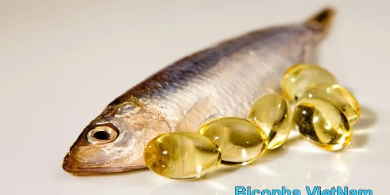 Tiêu chí đánh giá dầu cá Omega 3 tốt nhất thị trường Việt Nam
