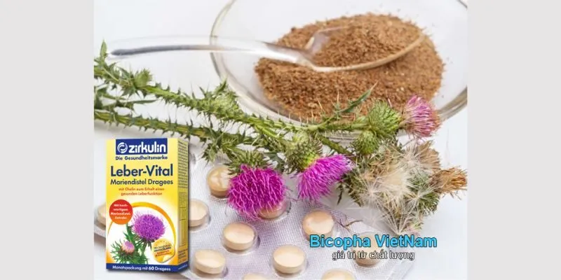 Viên uống cao kế sữa Zirkulin chính hãng hàng Đức