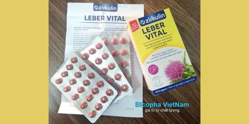 Viên Uống Cao Kế Sữa Zirkulin mua tại nhà phân phối Bicopha (Entbio Việt Đức)